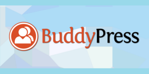 BuddyPress Is Included for FREE with Tech Savvy