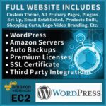 Website WordPress on Amazon Server Logo Tech Savvy Systems Anthony R Locke